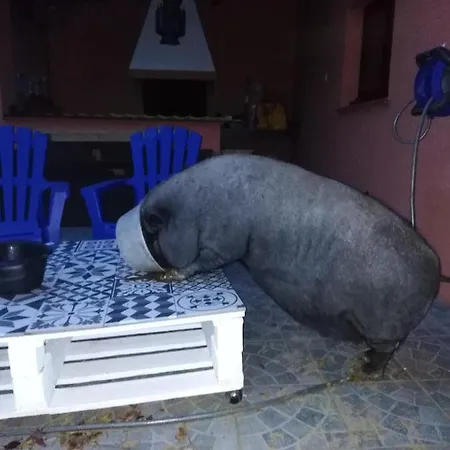 Bed and Breakfast Arche De Lanoe Jacuzzi