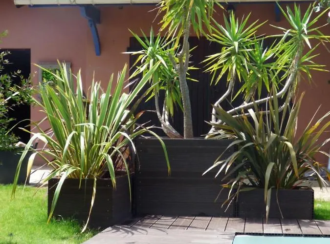 Arche De Lanoe Jacuzzi 3* Labastide-Saint-Pierre