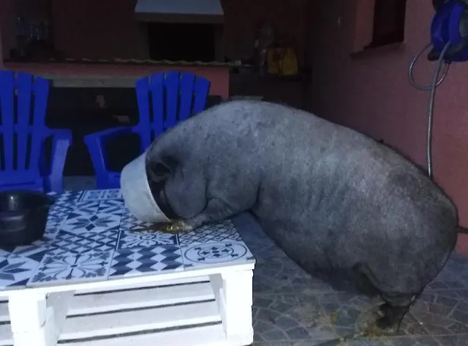 B&B Arche De Lanoe Jacuzzi